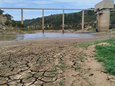 GroundUp-NMB-dam-levels1
